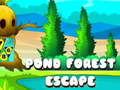 游戏Pond Forest Escape