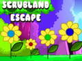 游戏Scrubland Escape