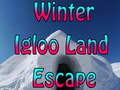 游戏Winter Igloo Land Escape 