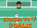 游戏Brazil Tiny Goalie