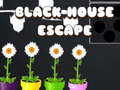 游戏Black House Escape