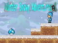 游戏Winter Snowy Adventures 1