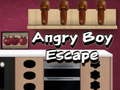 游戏Angry Boy Escape