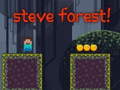 游戏Steve Forest
