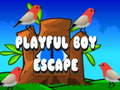 游戏Playful Boy Escape