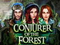 游戏Conjurer Of The Forest