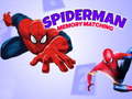 游戏Spiderman Memory Matching