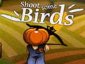 游戏Shoot Some Birds