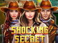 游戏Shocking Secret