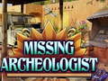 游戏Missing Archeologist