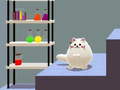 游戏Schrödinger’s Dual Cat