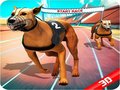 游戏Crazy Dog Race
