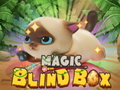 游戏Magic Blind Box