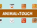 游戏Animal Toush