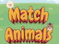游戏Match Animals