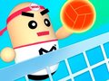 游戏3D Amazing VolleyBall