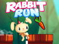 游戏Rabbit Run