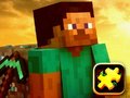 游戏Minecraft Puzzle Time