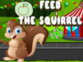 游戏Feed the squirrel