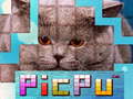 游戏PicPu Cat 