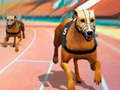 游戏Dogs3D Races