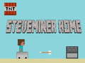 游戏Steveminer Home
