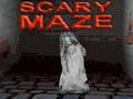 游戏Scary Maze 3D