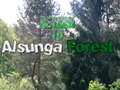 游戏Return To Alsunga Forest