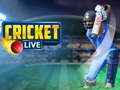 游戏Cricket Live
