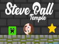 游戏Steve Ball Temple