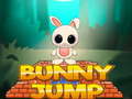 游戏Bunny Jump