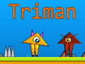 游戏Triman