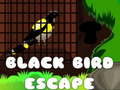 游戏Black Bird Escape