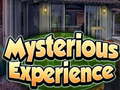 游戏Mysterious Experience