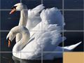 游戏Animals Slide Puzzle