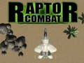 游戏Raptor Combat