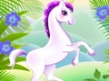 游戏Blair Unicorn