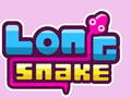 游戏Long Snake