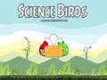 游戏Science Birds