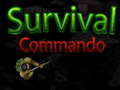 游戏Survival Commando
