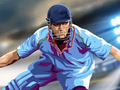 游戏Cricket 2022
