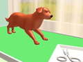 游戏Pet Care