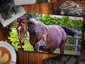 游戏Jigsaw Puzzle Horses Edition