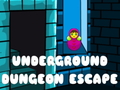 游戏Underground Dungeon Escape