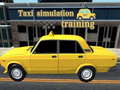 游戏Taxi simulation training