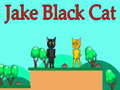 游戏Jake Black Cat