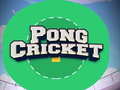 游戏Pong Cricket