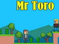 游戏Mr Toro
