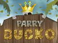 游戏Parry Bucko