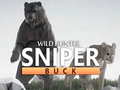 游戏Wild Hunter sniper buck